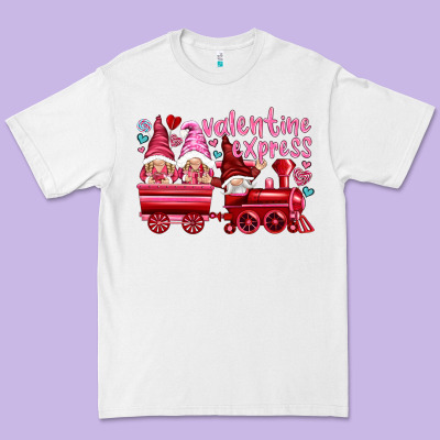 Valentines Express With Gnomies Premium Tee Designed By Nancycooperartshop