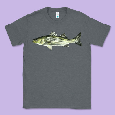 Striped Bass Classic Tee Designed By Lillyallendesigns