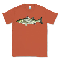 Copper Striped Bass Classic Tee - LillyAllenDesigns