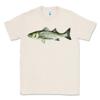 Natural Striped Bass Classic Tee - LillyAllenDesigns