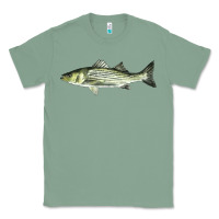 Sage Striped Bass Classic Tee - LillyAllenDesigns