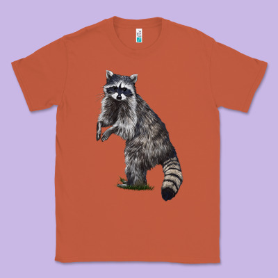 Raccoon Illustrations Classic Tee Designed By Lillyallendesigns