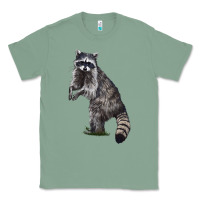 Sage Raccoon Illustrations Classic Tee - LillyAllenDesigns