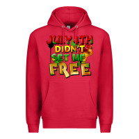 Cardinal July 4th didn't set me free Premium Hoodie - FaDigitalArtStudio