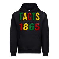 Black facts matter 1865 Urban Hoodie - Artiststas
