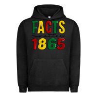 Pigment Black facts matter 1865 Urban Hoodie - Artiststas