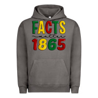 Pigment Tornado facts matter 1865 Urban Hoodie - Artiststas