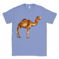 Colony Blue camel Classic Tee - BarkalooDesign