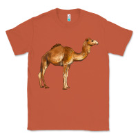 Copper camel Classic Tee - BarkalooDesign