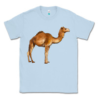 Dusty Blue camel Classic Tee - BarkalooDesign