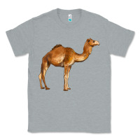 Heather Grey camel Classic Tee - BarkalooDesign