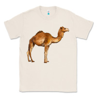 Natural camel Classic Tee - BarkalooDesign