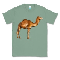 Sage camel Classic Tee - BarkalooDesign