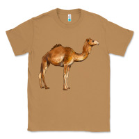 Toasted Coconut camel Classic Tee - BarkalooDesign