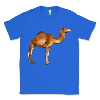True Royal camel Classic Tee - BarkalooDesign