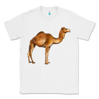 White camel Classic Tee - BarkalooDesign