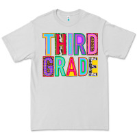 Dove Grey third grade Premium Tee - NancyCooperArtShop