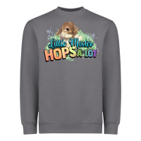 Storm Little mister hops a lot Easter day Heavyweight Sweatshirt - HowdyJamesFarm