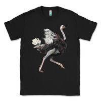 Black Ostrich Classic Tee - LillyAllenDesigns