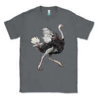 Charcoal Heather Ostrich Classic Tee - LillyAllenDesigns