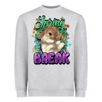 Easter Spring Break Easter Day Heavyweight Sweatshirt | Teevron