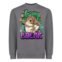 Storm Easter spring break Easter Day Heavyweight Sweatshirt - HowdyJamesFarm