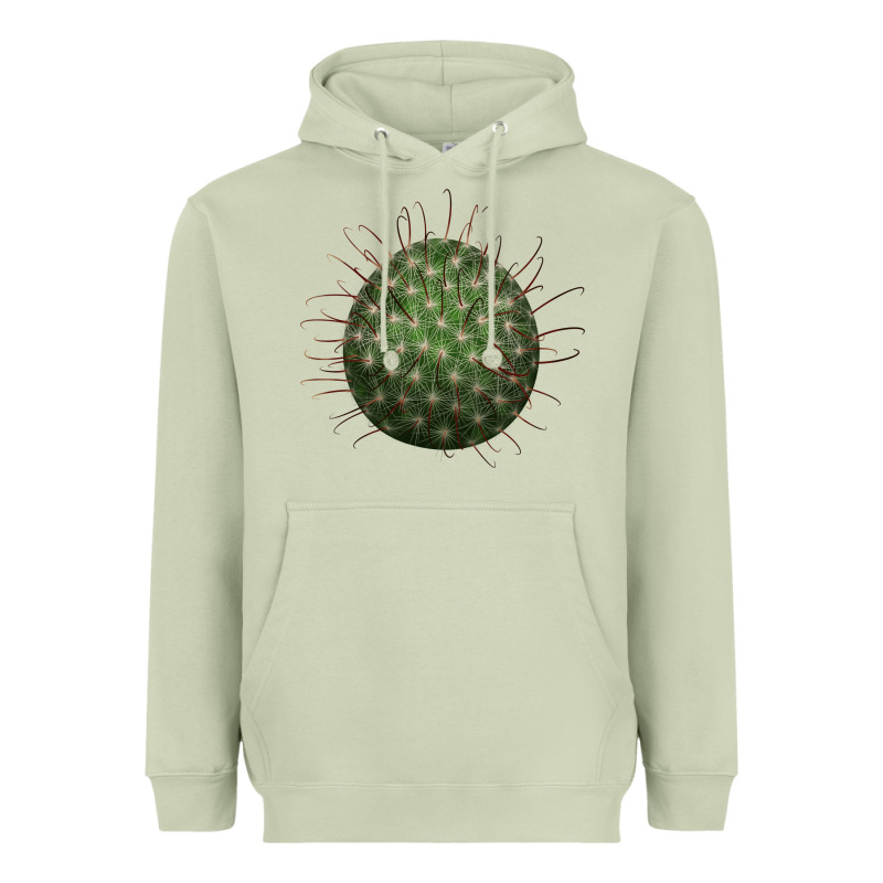 Arizona Fishhook Cactus Heavyweight Hoodie by LillyAllenDesigns | Teevron