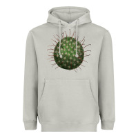 Moon Dust Arizona Fishhook Cactus Heavyweight Hoodie - LillyAllenDesigns