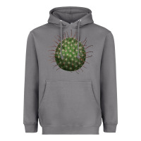 Storm Arizona Fishhook Cactus Heavyweight Hoodie - LillyAllenDesigns