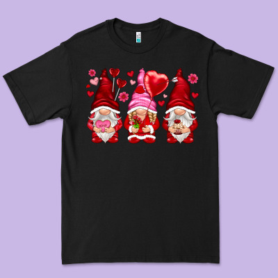 Valentines Day Gnomies With Heart Balloon Premium Tee Designed By Nancycooperartshop