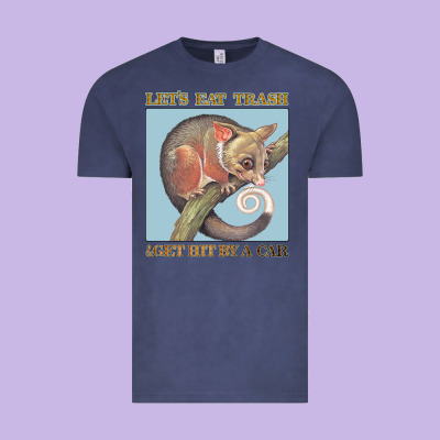 Let's Eat Trash & Get Hit By A Car Vintage Tee Designed By Bettercallsaul