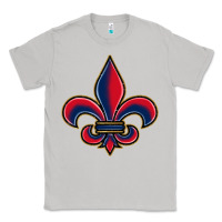 Moon Dust louisiana fleur de lis Classic Tee - BarkalooDesign