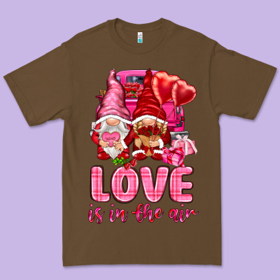 Love Is In The Air With Gnomies Premium Tee Designed By Nancycooperartshop