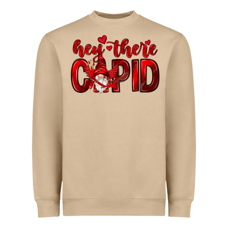 Hey There Cupid Valentine's Day Heavyweight Sweatshirt by HowdyJamesFarm | Teevron
