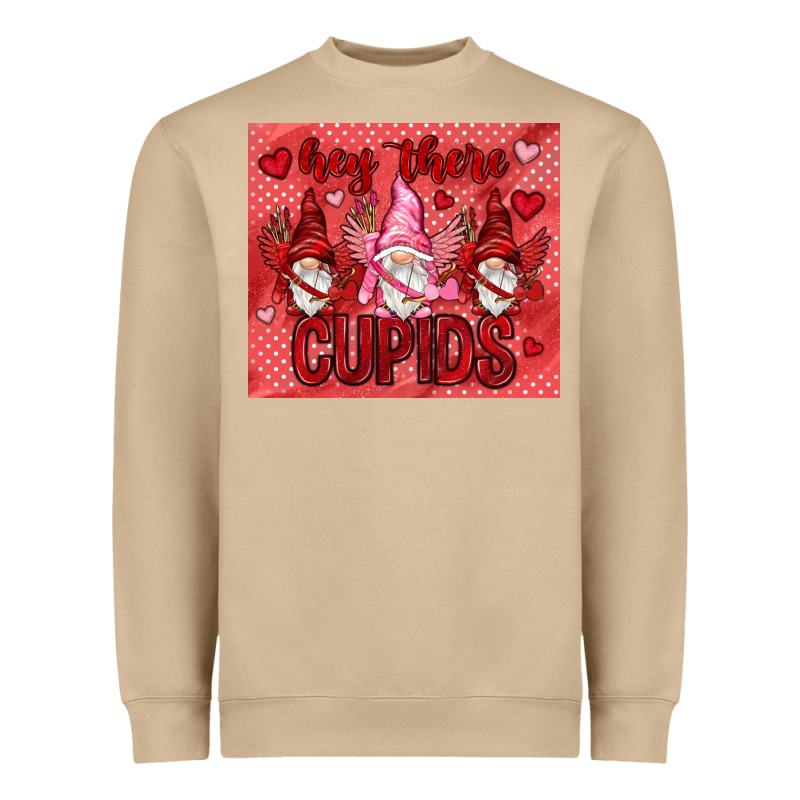 Hey There Cupids With Gnomies Tumbler Heavyweight Sweatshirt by HowdyJamesFarm | Teevron