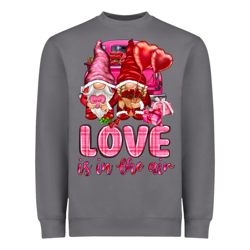 Love Is In The Air With Gnomies Valentine's Day Heavyweight Sweatshirt by HowdyJamesFarm | Teevron