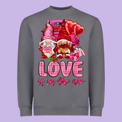 Love Is In The Air With Gnomies Valentine's Day Heavyweight Sweatshirt Designed By Howdyjamesfarm