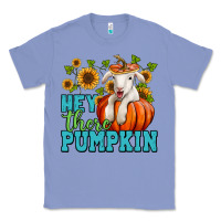 Colony Blue hey there pumpkin lamb Classic Tee - Jasminsmagicworld
