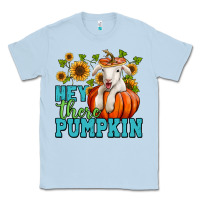 Dusty Blue hey there pumpkin lamb Classic Tee - Jasminsmagicworld