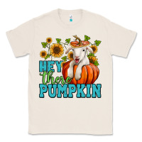 Natural hey there pumpkin lamb Classic Tee - Jasminsmagicworld