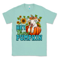 Seafoam hey there pumpkin lamb Classic Tee - Jasminsmagicworld