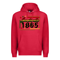 Cardinal Juneteenth 1865 Premium Hoodie - FaDigitalArtStudio