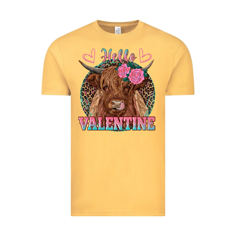 Hello Valentine Highland Cow Vintage Tee by RanaPortraitStore | Teevron