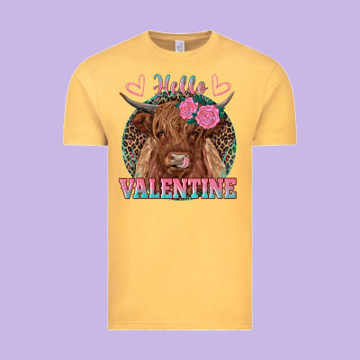 Hello Valentine Highland Cow Vintage Tee Designed By Ranaportraitstore