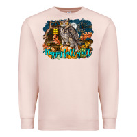 Pale Pink Happy Fall Y'all Owl Premium Sweatshirt - LillyAllenDesigns