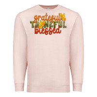 Pale Pink Fall Grateful Thankful Blessed Premium Sweatshirt - LillyAllenDesigns