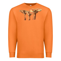 Carrot Lactarius Rufus Mushroom Illustrations Premium Sweatshirt - LillyAllenDesigns