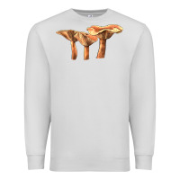 Dove Grey Lactarius Rufus Mushroom Illustrations Premium Sweatshirt - LillyAllenDesigns
