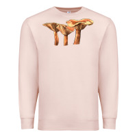 Pale Pink Lactarius Rufus Mushroom Illustrations Premium Sweatshirt - LillyAllenDesigns