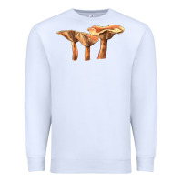 White Lactarius Rufus Mushroom Illustrations Premium Sweatshirt - LillyAllenDesigns
